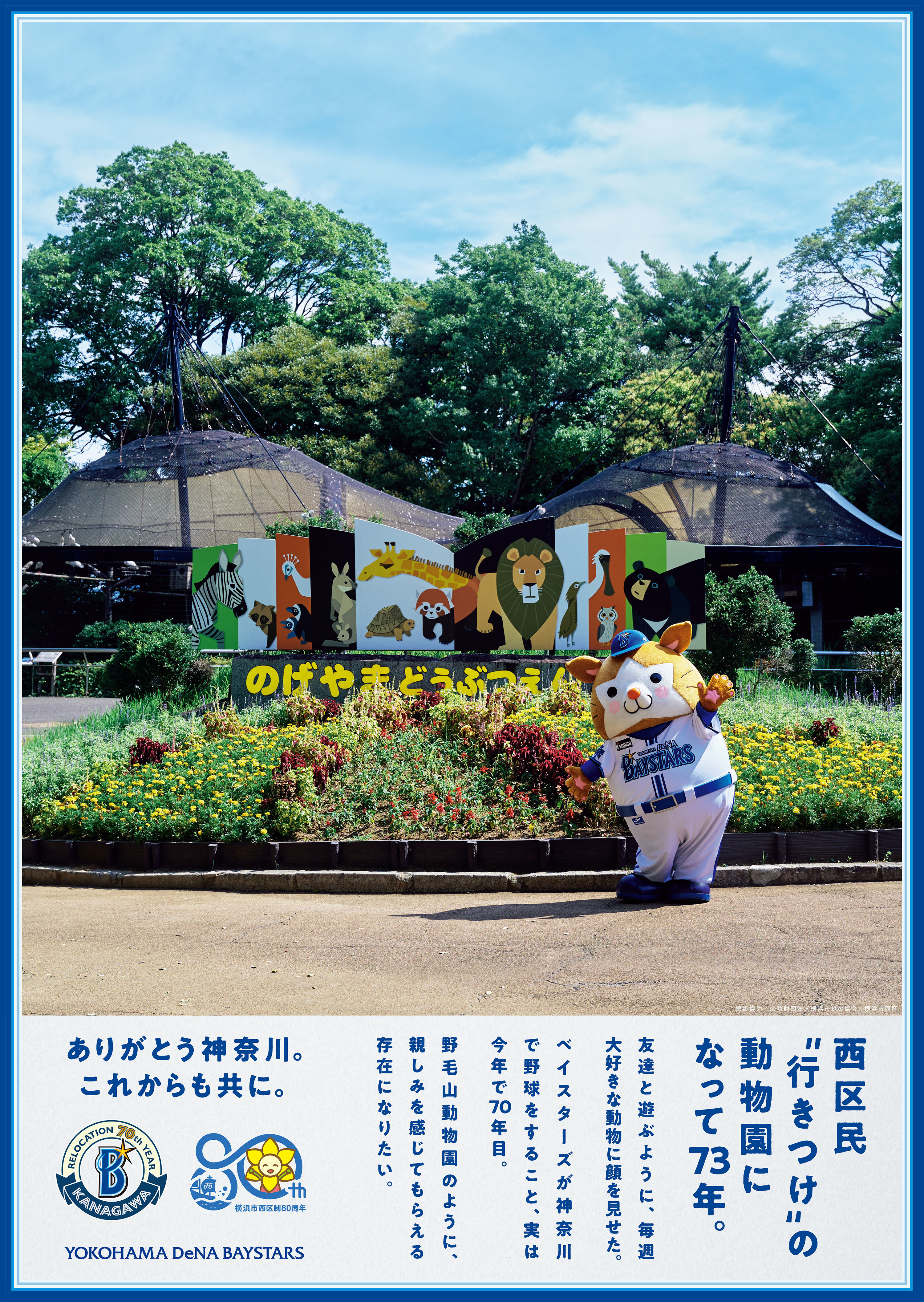 <p>Yokohama DeNA BayStars</p>