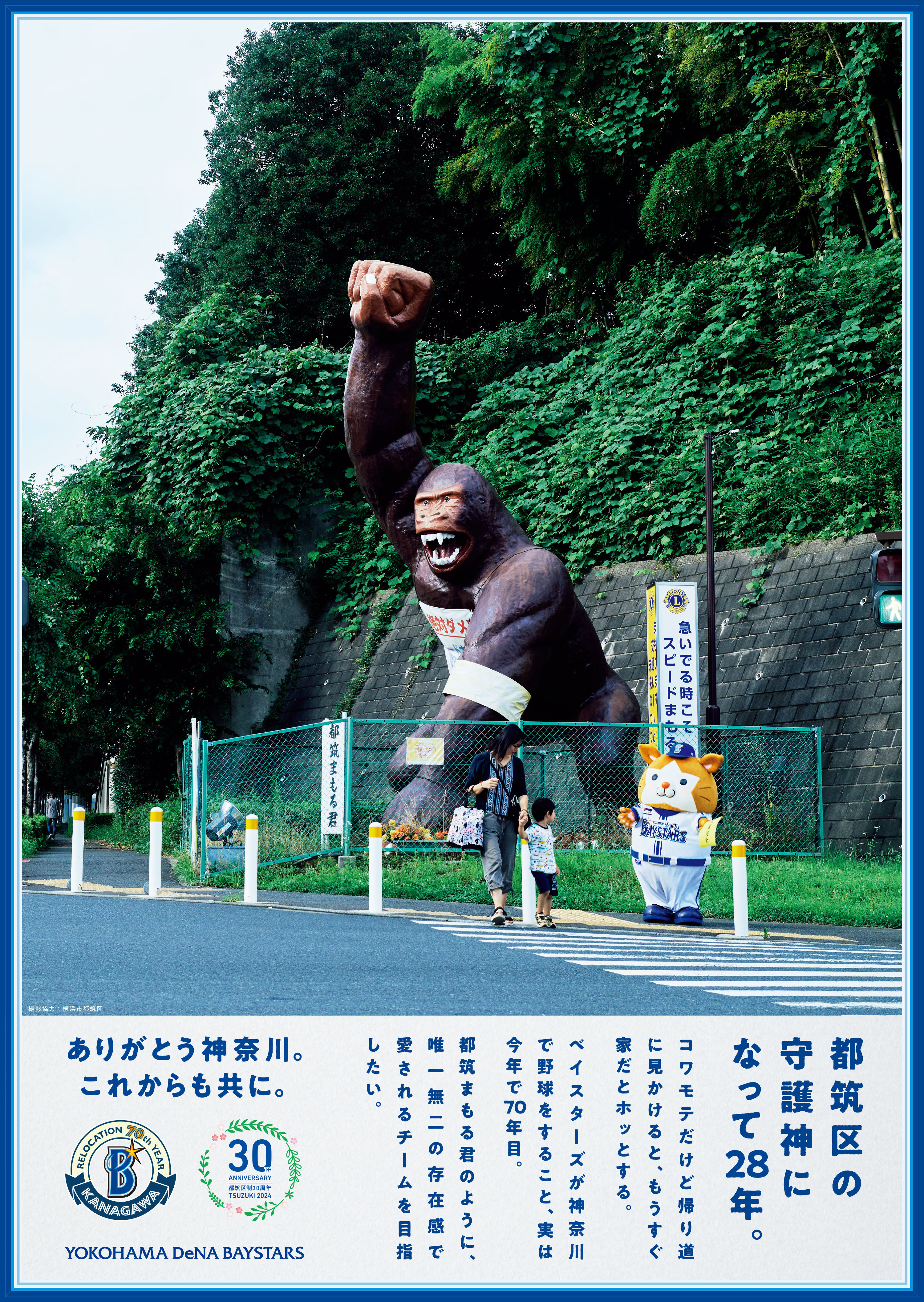 <p>Yokohama DeNA BayStars</p>