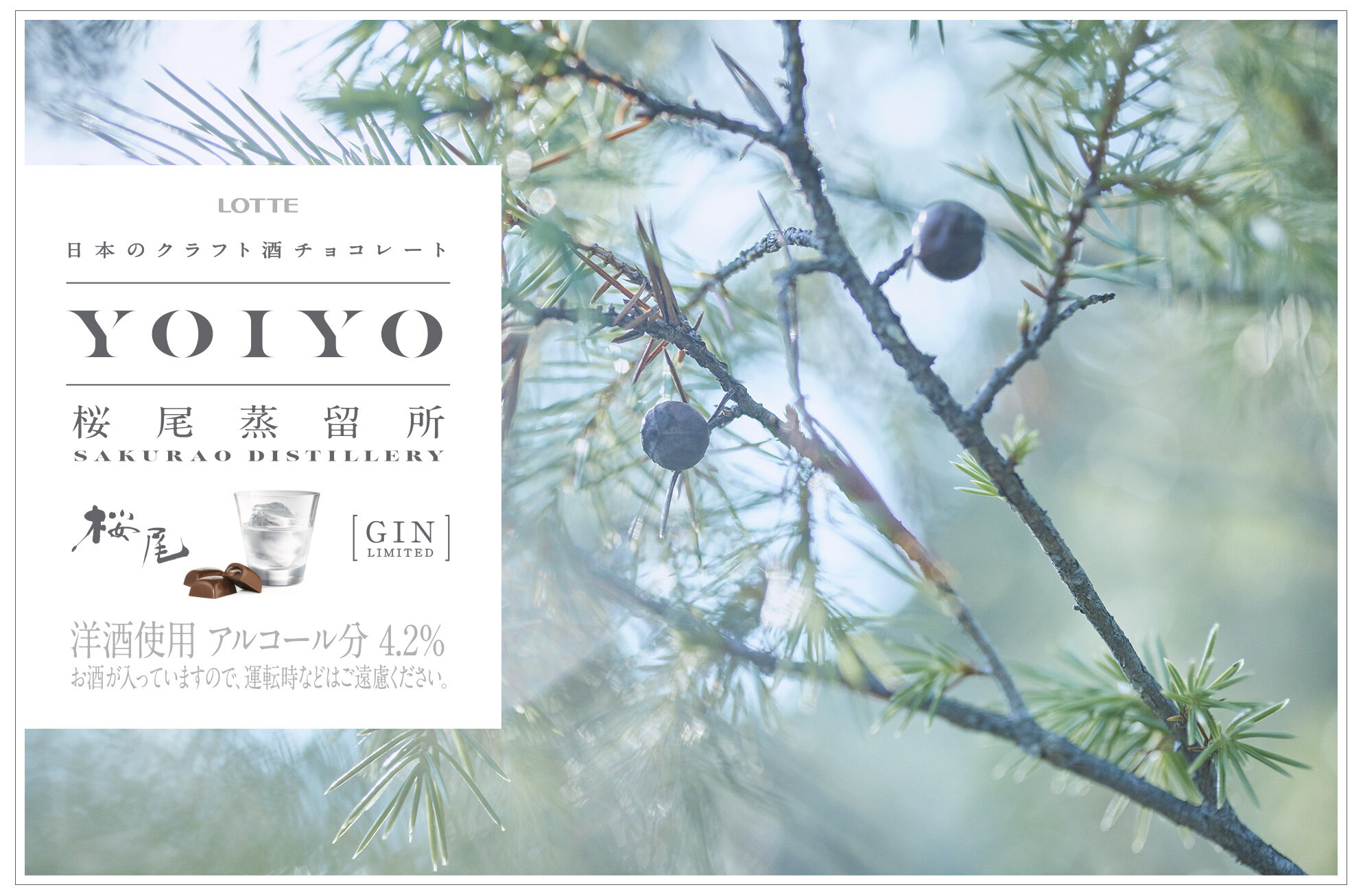 <p>LOTTE YOIYO</p>
